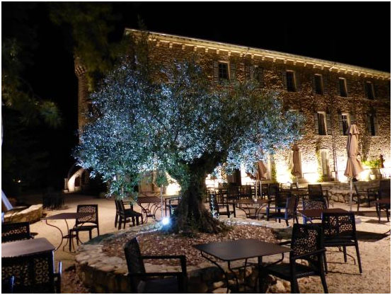 Château Les Oliviers de Salettesoh